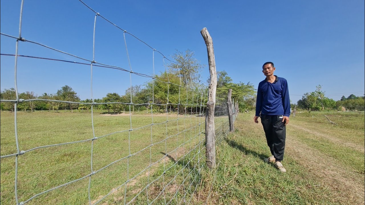 โอ้วโหวติดตั้งมา 6 ปีแล้วแต่ยังโอเคอยู่ กับรั้วลวดแบบนี้