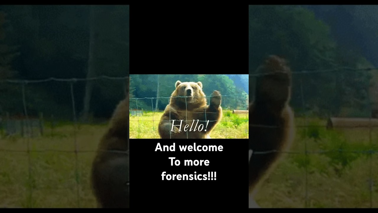 What does a DNA mixture look like and what do you do with it? (Part 2) 