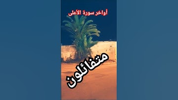 #تلاوة_خاشعة #تلاوة_هادئة #تلاوات #قرآن #قران_كريم