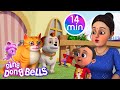 Meow meow billi karti  more hindi  nursery rhymes for kids  ding dong bells