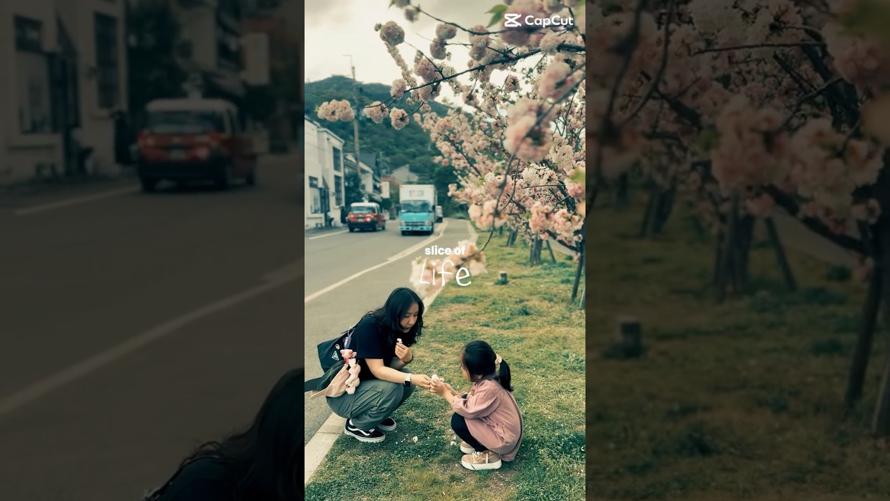 Once upon a time in Kyoto 🌸🎍💚. 