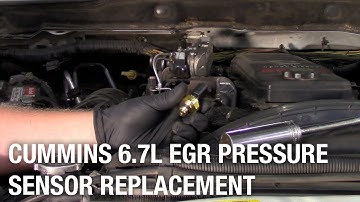 Cummins 6.7 EGR Pressure Sensor Replacement | Installation Spotlight