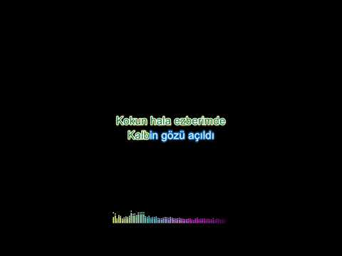 Semicenk - Unutmak Öyle Kolay Mı Sandın (Karaoke)