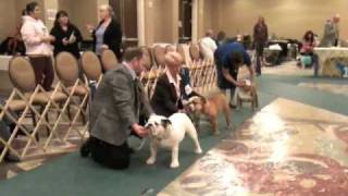 Bentley s first show