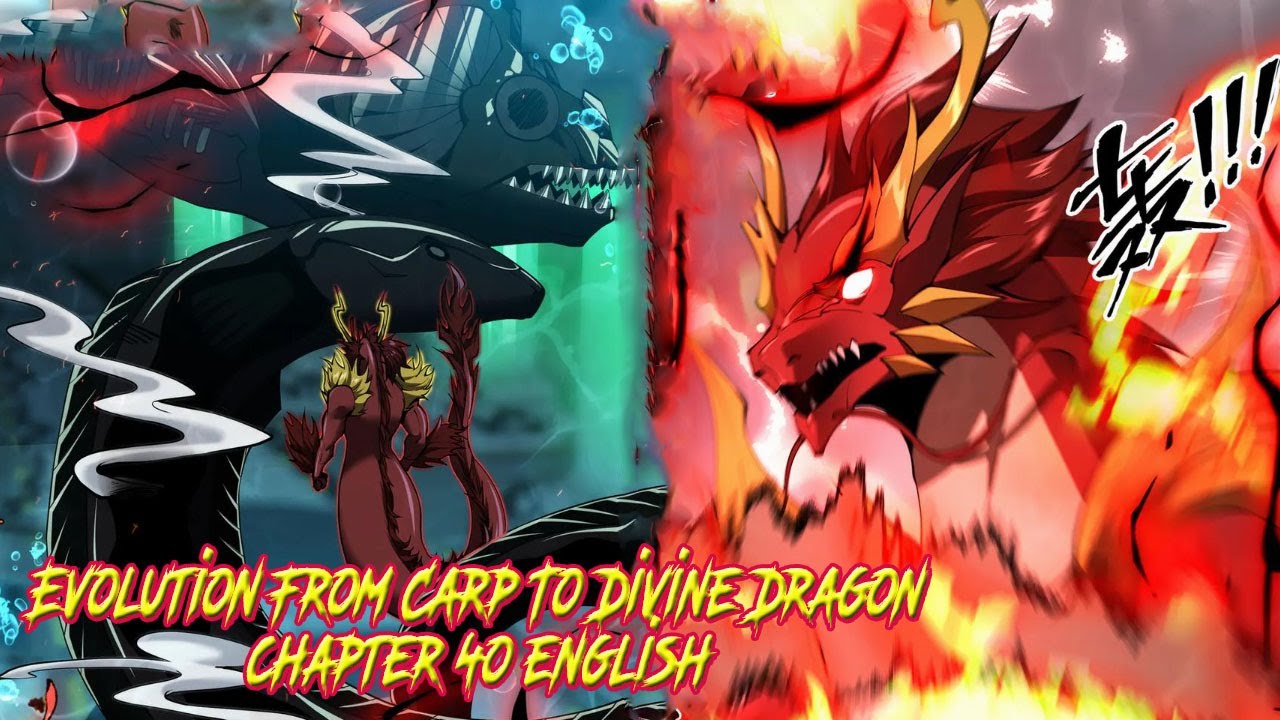 Evolution From Carp To Divine Dragon Wiki www.youtube.com