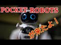 POCKET ROBOTSが来たよ！