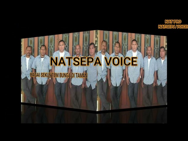 Bagai Sekuntum Bunga Di Taman - Natsepa Voice (Official Lyric Video) class=