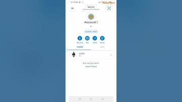 HOW TO SETUP #BTCs SATOSHI CHAIN TESTNET ON METAMASK
