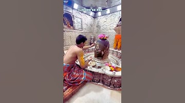 Hail Mahakal 🌿💫 Mahakal status 💫💙 Mahadev status ♥️💫 Bholenath Status 💫💜 #tending #shiv #shorts