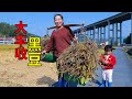 黑豆迎來了大豐收，收了兩大筐，媳婦開心的挑回家 | Bumper crop of black beans, two large baskets harvested