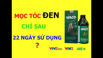 Phương Pháp Đánh Bay Rụng Tóc - Hói Đầu Đơn Giản Tại Nhà | Hotline Hỗ Trợ Điều Trị 0915.42.0000