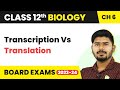 Class 12 Biology Chapter 6 | Transcription Vs Translation - Molecular Basis of Inheritance