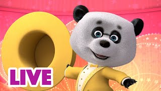 🔴 Live Stream! माशा एंड द बेयर 🎉✨क्या परफॉरमेंस है! 📺 Masha And The Bear In Hindi