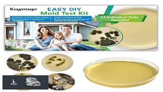 Mold Test Kit for Home 12 Simple Detection Tests Test HVAC System Home