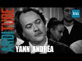 Yann andra serviteur de marguerite duras se confie  thierry ardisson  ina arditube