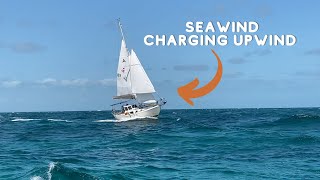 EP. 31 SAILING to the EXUMAS After Swimming with SHARKS