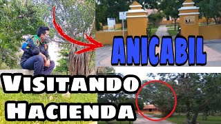 Explorando Hacienda de Mérida//Caucel//Tour P1