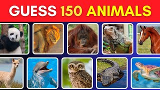 Guess 150 Animals in 3 Seconds 🦁🐼🐵 | Easy, Medium, Hard, Ultimate