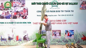 Máy thái chuối cả cây cho gà, vịt 3A2,2Kw|Xem chế tạo lưỡi dao máy băm chuối tại xưởng 3A