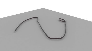 Maya - Arnold Renders Curves!