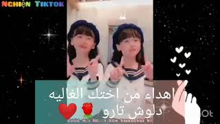 اجمل توام الصيني