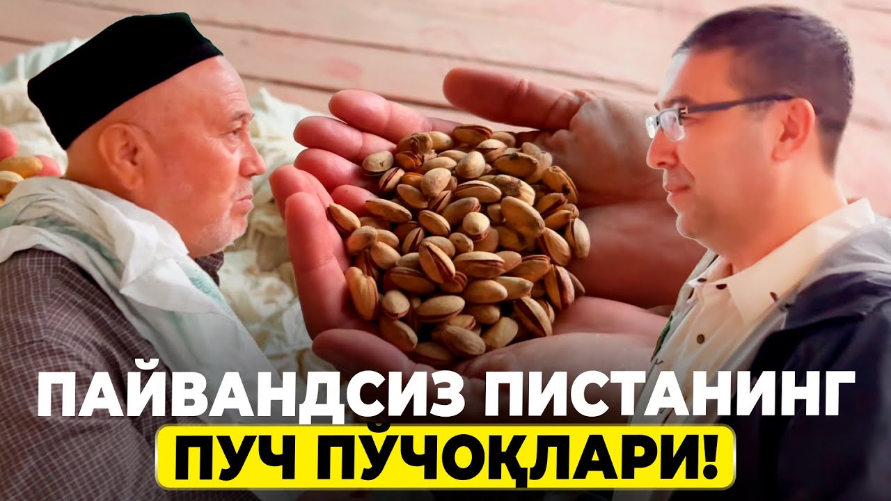 ПИСТА ЭКМОҚЧИМИСИЗ? АВВАЛ БУ ВИДЕОНИ КЎРИНГ! | ШУҲРАТ АБРОРОВ #shuhratabrorov #pista