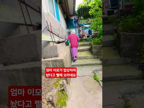 엄마 <strong>이모가</strong> 밥상차려 놨다고 빨리오래 ᆢ