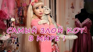 САМЫЙ ЗЛОЙ КОТ В МИРЕ! Часть 1 Таня Тузова Русская Барби САМЫЙ ЗЛОЙ КОТ В МИРЕ! Часть 1 Таня Тузова Русская Барби