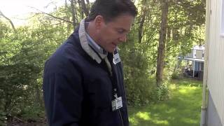 Termites Inspection Fairfield Ct Wood Near Foundation Ants