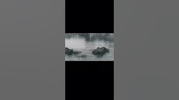 مقتطفات نادر من الريف المصري القديم مع لتلاوة ل الشيخ المنشاوي
