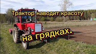 Навожу красоту на грядках.