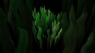 [TD #48] Weird Plants #TouchDesigner #tutorial #derivative