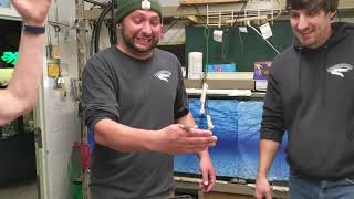 David Learns Stuff: the silly parts