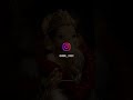Ganapathi Bappa 🙏Daily vlog  from shikaripura