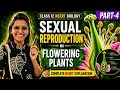 Sexual Reproduction in Flowering Plants Chapter 1 Part-4 Class 12 #ncertbiology #ncert #neet