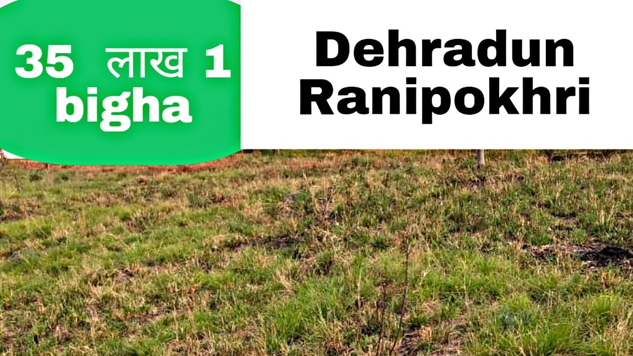 Agriculture land for sale In Dehradun Ranipokhri Near Bhogpur 📱 7017886949 YouTube