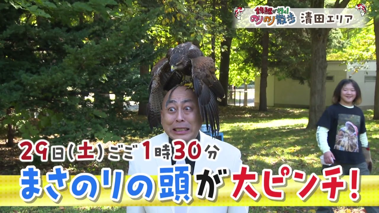 まさのり頭が大ピンチ！？11月29日放送「のりのり散歩」 - YouTube