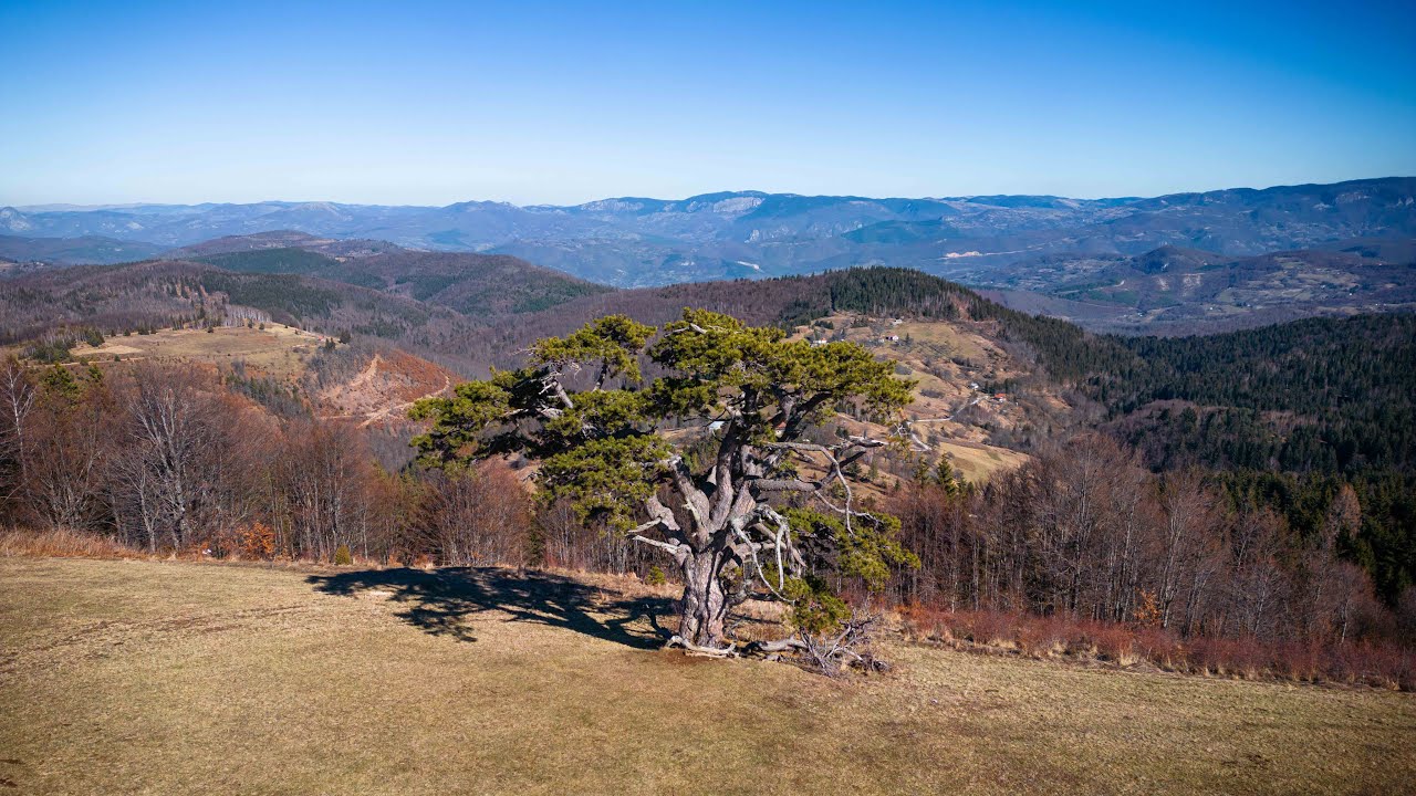 Kamena Gora / Serbia from above