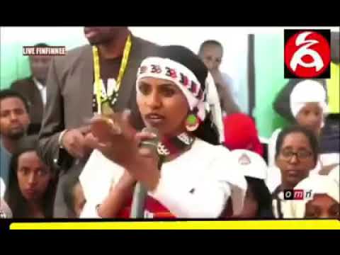 ቪዲዮ: ጋላ ተገናኘ - የኳሱ የመጨረሻ እትሞች በጣም ቆንጆ አለባበሶች