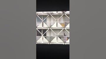 Kader Attia at Le MacVal