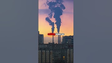 Transforming Urban Travel: Discover the AI Revolution! 🌍🚍