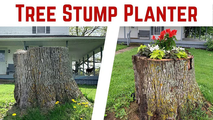 Tree Stump Planter