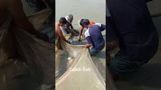 মাছ ধরা গ্রামের পুকুরে Catches fish from village Pont