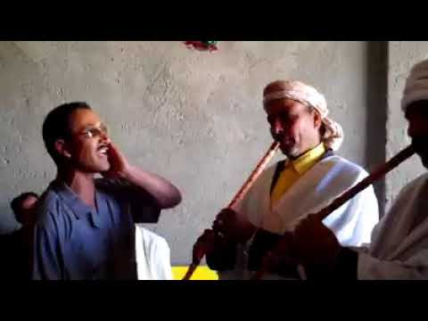 اقوى موال شاوي بالا روبوتيك نتحداك تلقى احسن منه 