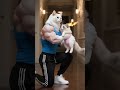 🐱🔥😭The cat imitated its mom and caused an accident.#funnycats#pets#ShortVideo #cat #cute #dreambig