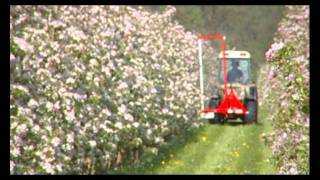 Darwin-mechanical blossom thinner.wmv