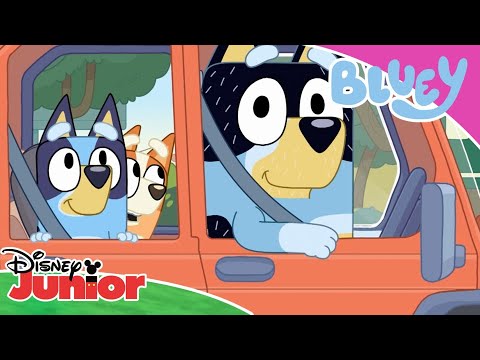 ? Car Adventures | Bluey | Disney Junior UK