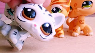 картинка: #LPS;РАСПАКОВКА В ЧЕСТЬ ПЕРВЫХ 100 ПАПИЩЕКОФФ