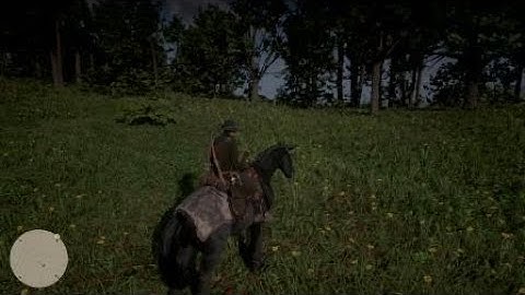 Red Dead Redemption 2 How to Open Safes