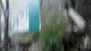 Travel in Wuling Montain